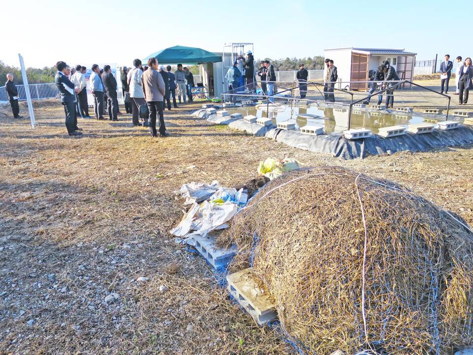 実験サイトの全景（提供：名城大学）