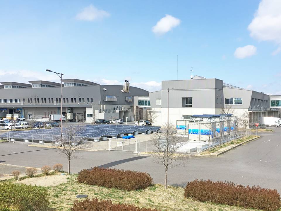 「生活に密着した再エネ水素製造貯蔵利活用」の技術研究を推進【FREA／清水建設】福島県郡山市総合地方卸売市場に設置・運用実証中 新エネルギー新聞